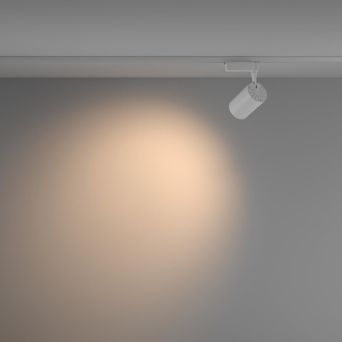 Трековый светильник Vuoro Unity 3000K 15Вт 60° / Maytoni TR003-1-15W3K-W-W Трековый светильник Vuoro Unity 3000K 15Вт 60° / Maytoni TR003-1-15W3K-W-W