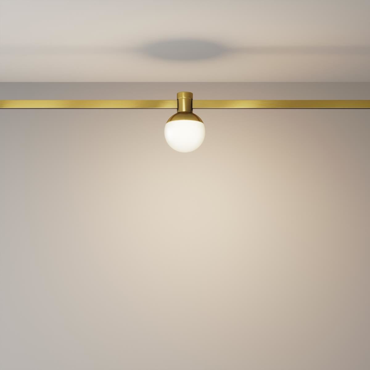 Трековый светильник Luna Flarity 3000K 5Вт 120° / Maytoni TR149-1-5W3K-BS Трековый светильник Luna Flarity 3000K 5Вт 120° / Maytoni TR149-1-5W3K-BS