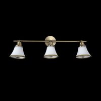 Спот Freya Jasinta FR2272-CW-03-BS