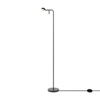 Напольный светильник (торшер) Freya Piece FR5549FL-L5B