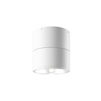Потолочный светильник Maytoni Spin O310CL-L12W3K