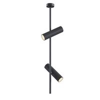 Потолочный светильник Elti GU10 2x10Вт / Maytoni C021CL-02B