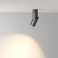 Потолочный светильник Dafne 3000K 1x10Вт 38° / Maytoni C027CL-L10B