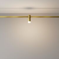 Трековый светильник Skim Flarity 3000K 3Вт 60° / Maytoni TR145-1-3W3K-W-BS