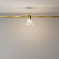 Трековый светильник Bianca Flarity 3000K 3Вт 120° / Maytoni TR147-1-3W3K-BS