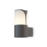 Настенный светильник (бра) Maytoni Piccadilly O016WL-01B