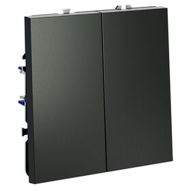 Выключатель с самовозвратом двухклавишный S70 (титан) / Voltum VLS020606