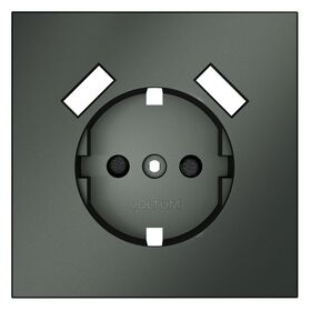 Накладка для розетки с заземлением и защитными шторками, с USB A+A S70 (титан) / Voltum VLS000906