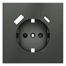 Накладка для розетки с заземлением и защитными шторками, с USB A+C S70 (титан) / Voltum VLS001006