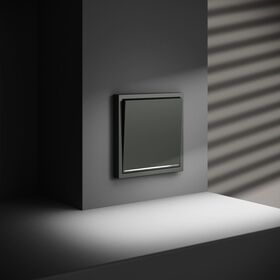 Выключатель одноклавишный с подсветкой S70 (титан) / Voltum VLS010206