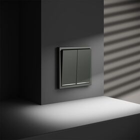 Выключатель двухклавишный с подсветкой S70 (титан) / Voltum VLS020206