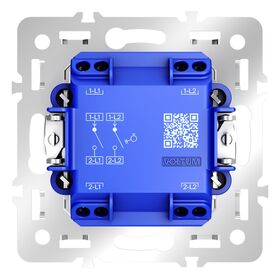 Механизм выключателя с самовозвратом двухклавишного 10А, S70 / Voltum VLS0206M
