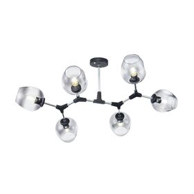 Потолочный светильник Freya Desi FR5006CL-06B