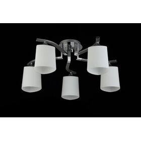 Потолочный светильник Freya Sol FR5454CL-05CH