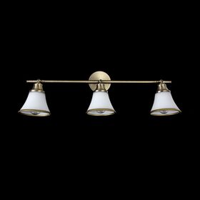 Спот Freya Jasinta FR2272-CW-03-BS