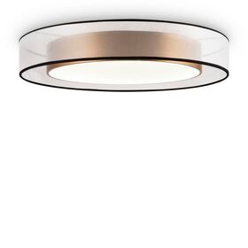 Потолочный светильник Freya Zoticus FR6005CL-L48G