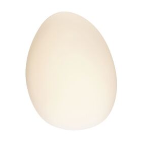 Настенный светильник (бра) Maytoni Roca MOD004WL-L5W3K