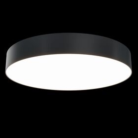 Потолочный светильник Maytoni Zon C032CL-L48B3K