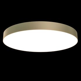 Потолочный светильник Maytoni Zon C032CL-L96MG3K