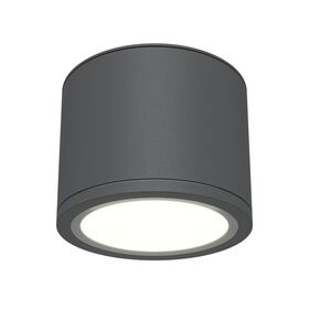 Потолочный светильник Rendo GX53 12Вт IP44 / Maytoni C095CL-GX53-GR