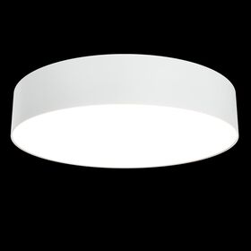 Потолочный светильник Maytoni Zon C032CL-L43W3K