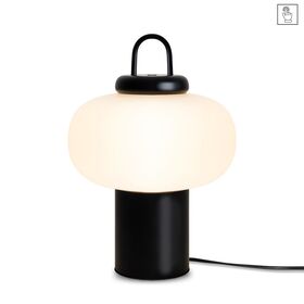 Настольный светильник Freya Take FR6175TL-L10B