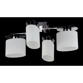 Потолочный светильник Freya Bice FR5101-CL-04-CN