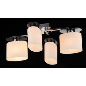 Потолочный светильник Freya Bice FR5101-CL-04-CN