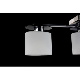 Потолочный светильник Freya Bice FR5101-CL-03-CN