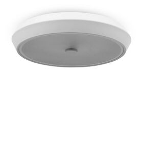 Потолочный светильник Freya Cells FR10012CL-L24W