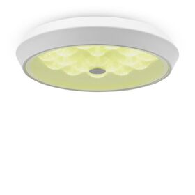 Потолочный светильник Freya Cells FR10012CL-L24W