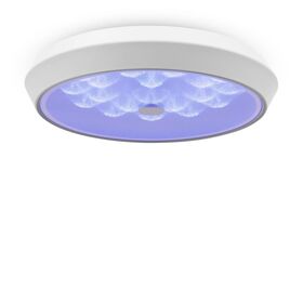 Потолочный светильник Freya Cells FR10012CL-L24W