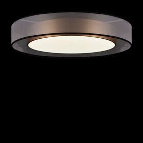 Потолочный светильник Freya Zoticus FR6005CL-L48G