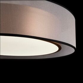 Потолочный светильник Freya Zoticus FR6005CL-L36G