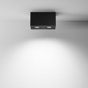 Потолочный светильник Atom GU10 2x10Вт / Maytoni C017CL-02B