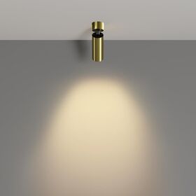 Потолочный светильник FOCUS LED 2700K 12Вт 50° / Maytoni C055CL-L12W2.7K-W-BS