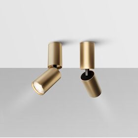 Потолочный светильник FOCUS S GU10 1x10Вт / Maytoni C051CL-01G