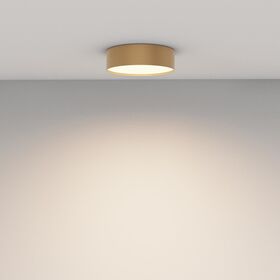 Потолочный светильник Zon 3000K 24W 120° / Maytoni C032CL-24W3K-RD-MG