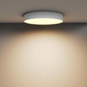 Потолочный светильник Zon 2700K 45Вт 120° / Maytoni C032CL-45W2.7K-RD-W