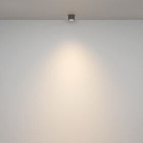 Потолочный светильник Rendo GX53 12Вт IP44 / Maytoni C095CL-GX53-GR