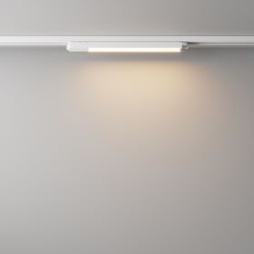 Трековый светильник Basis Unity 3000K 12Вт 110° / Maytoni TR000-1-12W3K-W