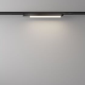 Трековый светильник Basis Unity 4000K 12Вт 110° / Maytoni TR000-1-12W4K-B