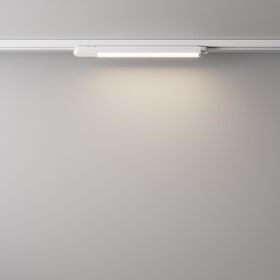 Трековый светильник Basis Unity 4000K 12Вт 110° / Maytoni TR000-1-12W4K-W