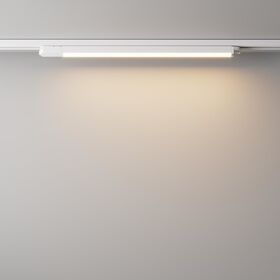 Трековый светильник Basis Unity 3000K 24Вт 110° / Maytoni TR000-1-24W3K-W