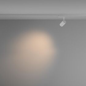 Трековый светильник Vuoro Unity 3000K 6Вт 36° / Maytoni TR003-1-6W3K-M-W