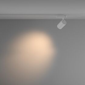 Трековый светильник Vuoro Trinity 3000K 20Вт 36° / Maytoni TR029-3-20W3K-M-W