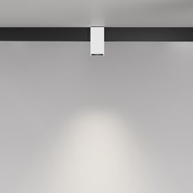 Трековый светильник Alfa Exility 2700-6000K 7Вт 50° Dim Smart / Maytoni TR121-4-7W-DS-W