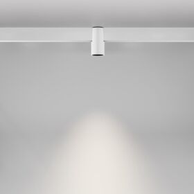 Трековый светильник Alfa Exility 4000K 7Вт 50° / Maytoni TR122-2-7W4K-W