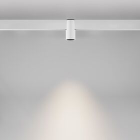 Трековый светильник Alfa Exility 2700-6000K 7Вт 50° Dim Smart / Maytoni TR122-4-7W-DS-W