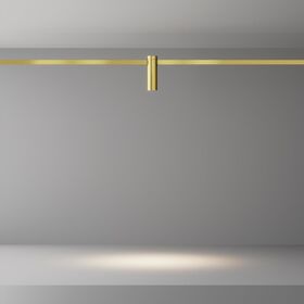 Трековый светильник Focus Led Flarity 3000K 5Вт 60° / Maytoni TR143-1-5W3K-W-BS